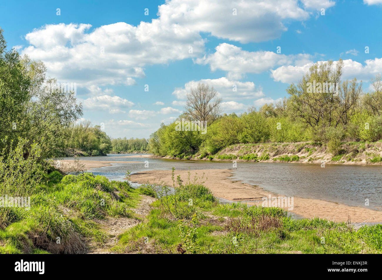 Vistula Flussufer in Lawice Kielpinskie Natur zu reservieren, in der Nähe von Kepa Kielpinska, Polen Stockfoto