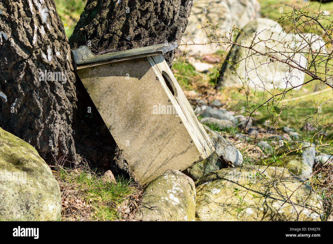 Verwitterte Nistkasten für Wasservögel, die von einem Baum herunter gefallen hat. Gebüsch und Granit Steinen auf dem Boden. Stockfoto