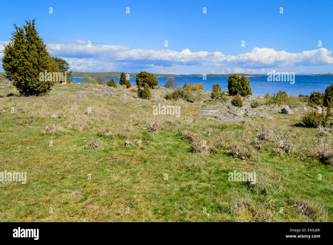 Typische Natur in den südlichen schwedischen Schären mit Wacholder und Grünland. Landschaft ist karg mit Felsen aus Granit in t Stockfoto
