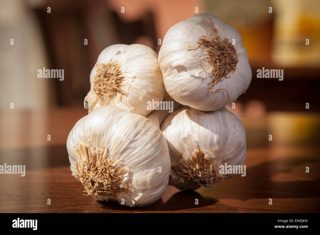 Frischer Knoblauch Stockfoto