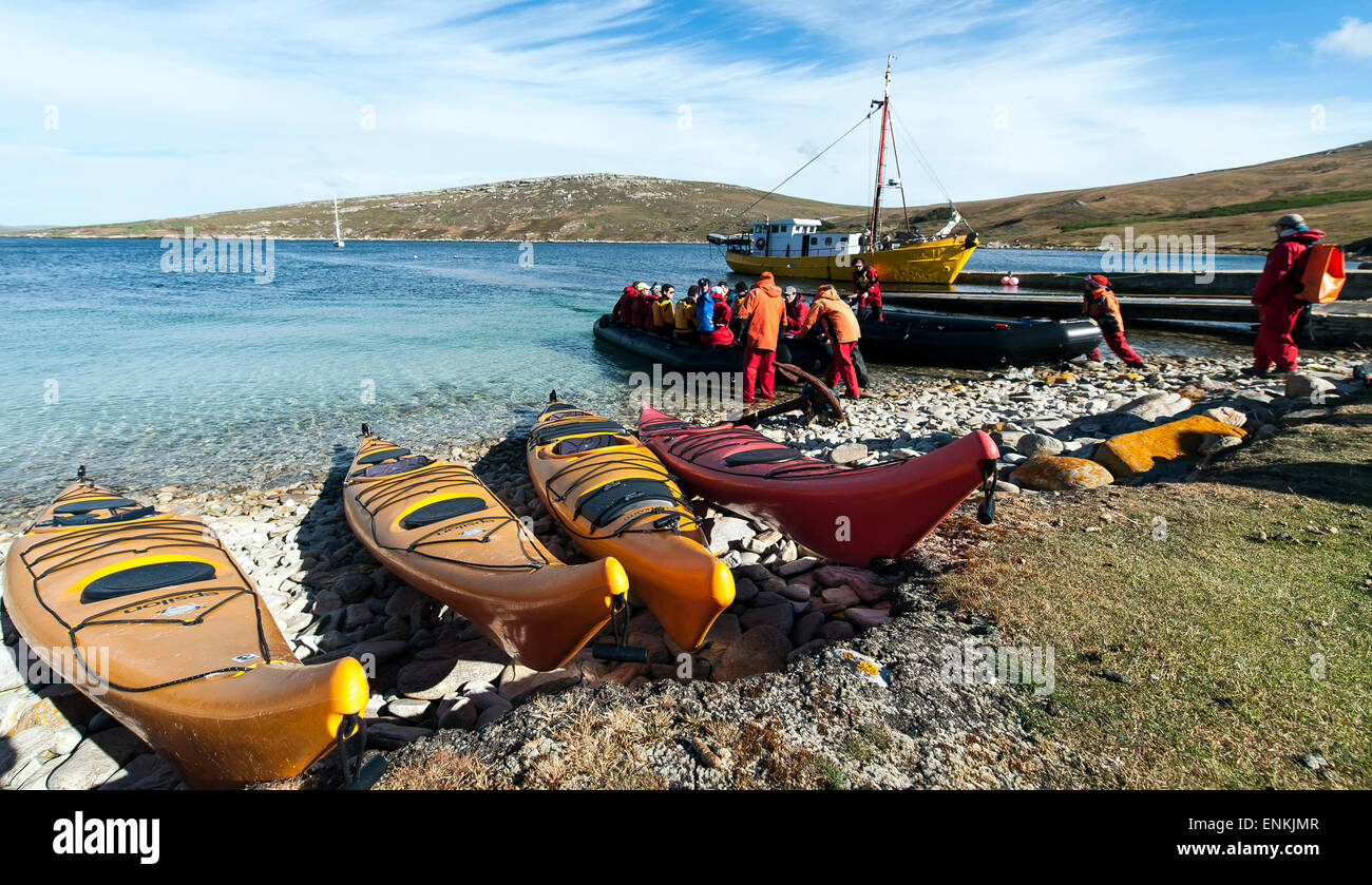 Kajaks und Touristen in West Point Insel Falklandinseln UK Stockfoto