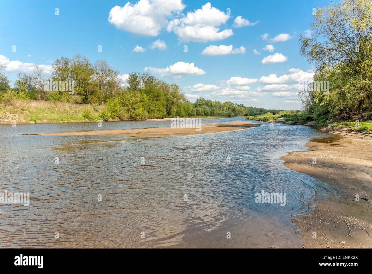 Vistula Flussufer in Lawice Kielpinskie Natur zu reservieren, in der Nähe von Kepa Kielpinska, Polen Stockfoto