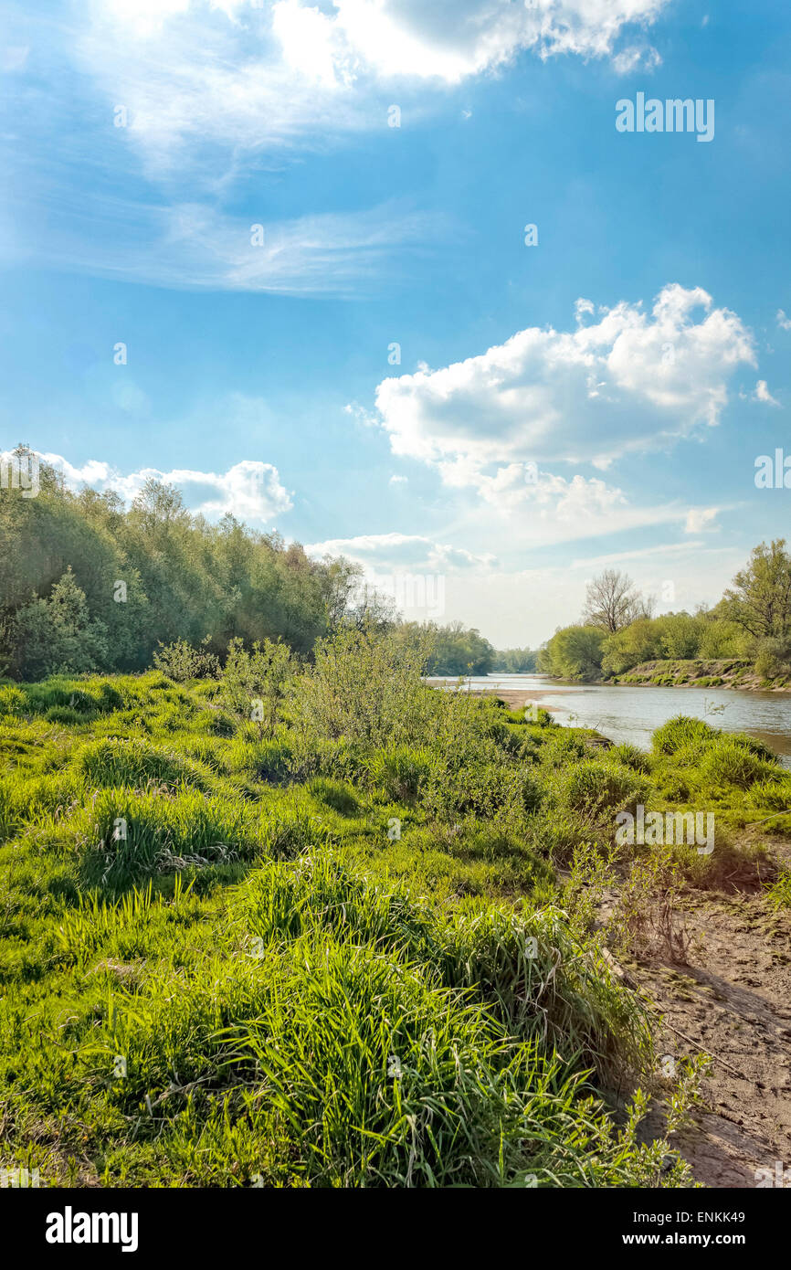 Vistula Flussufer in Lawice Kielpinskie Natur zu reservieren, in der Nähe von Kepa Kielpinska, Polen Stockfoto