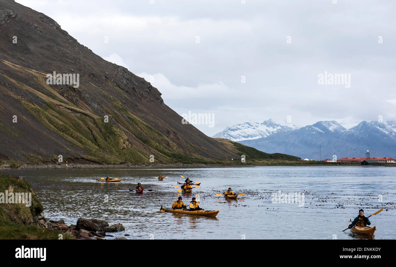 Kajaks bei Grytviken Südgeorgien Stockfoto
