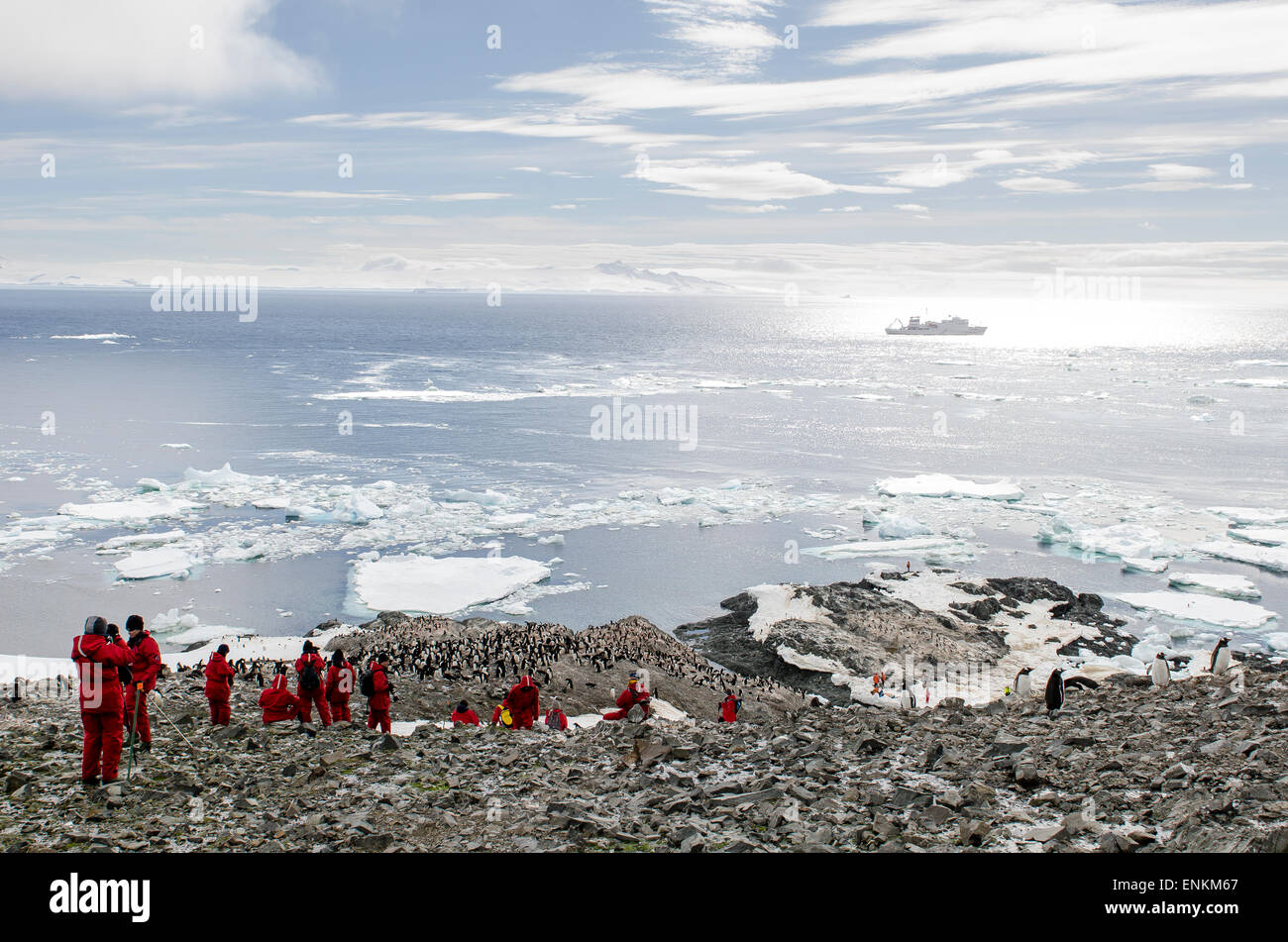 Toruists an eine Kolonie von Adelie-Pinguine (Pygoscelis Adeliae) Krapp Klippen-antarktische Halbinsel-Antarktis Stockfoto