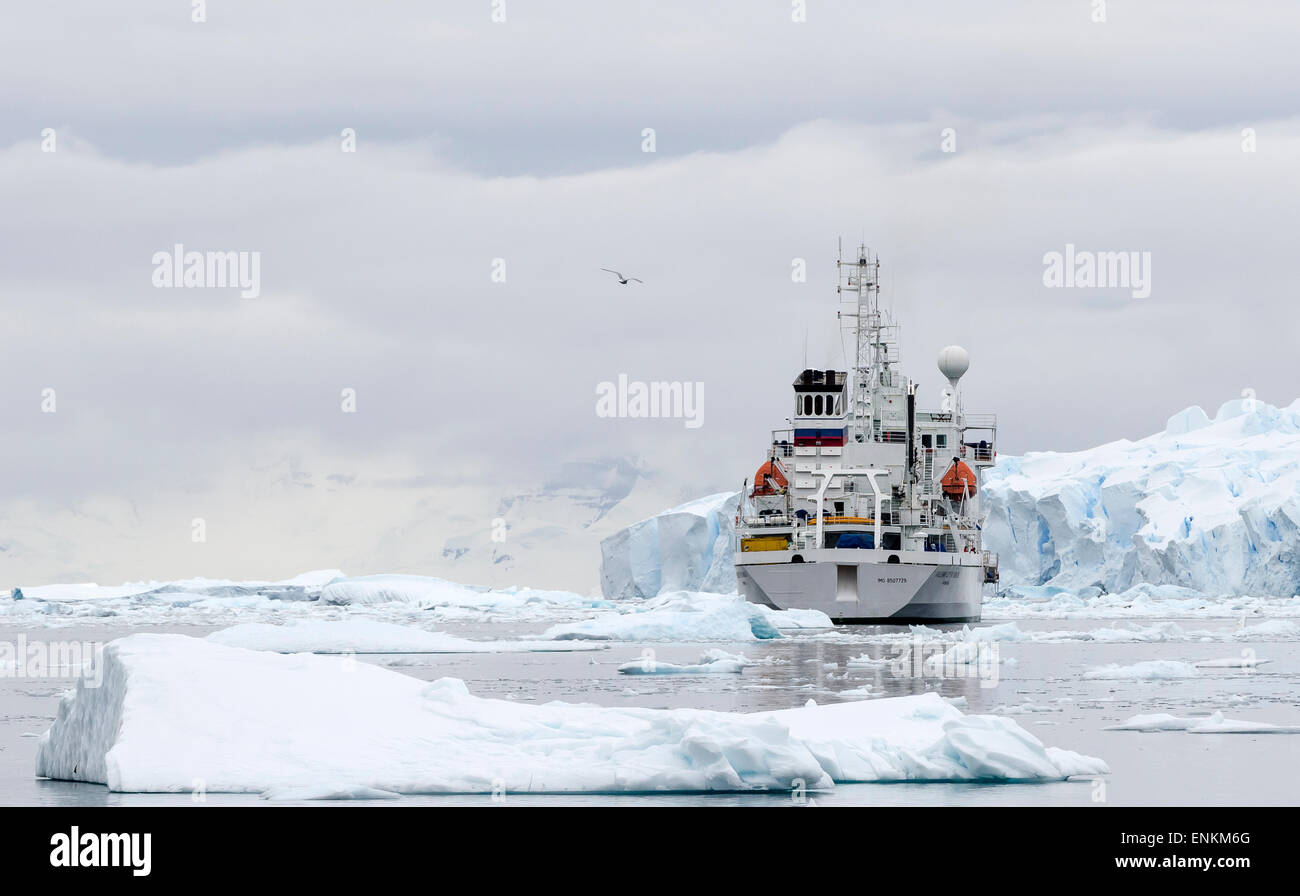 Schwimmendes Eis und Expedition Kreuzfahrt Neko Harbour antarktischen Halbinsel Antarktis Stockfoto