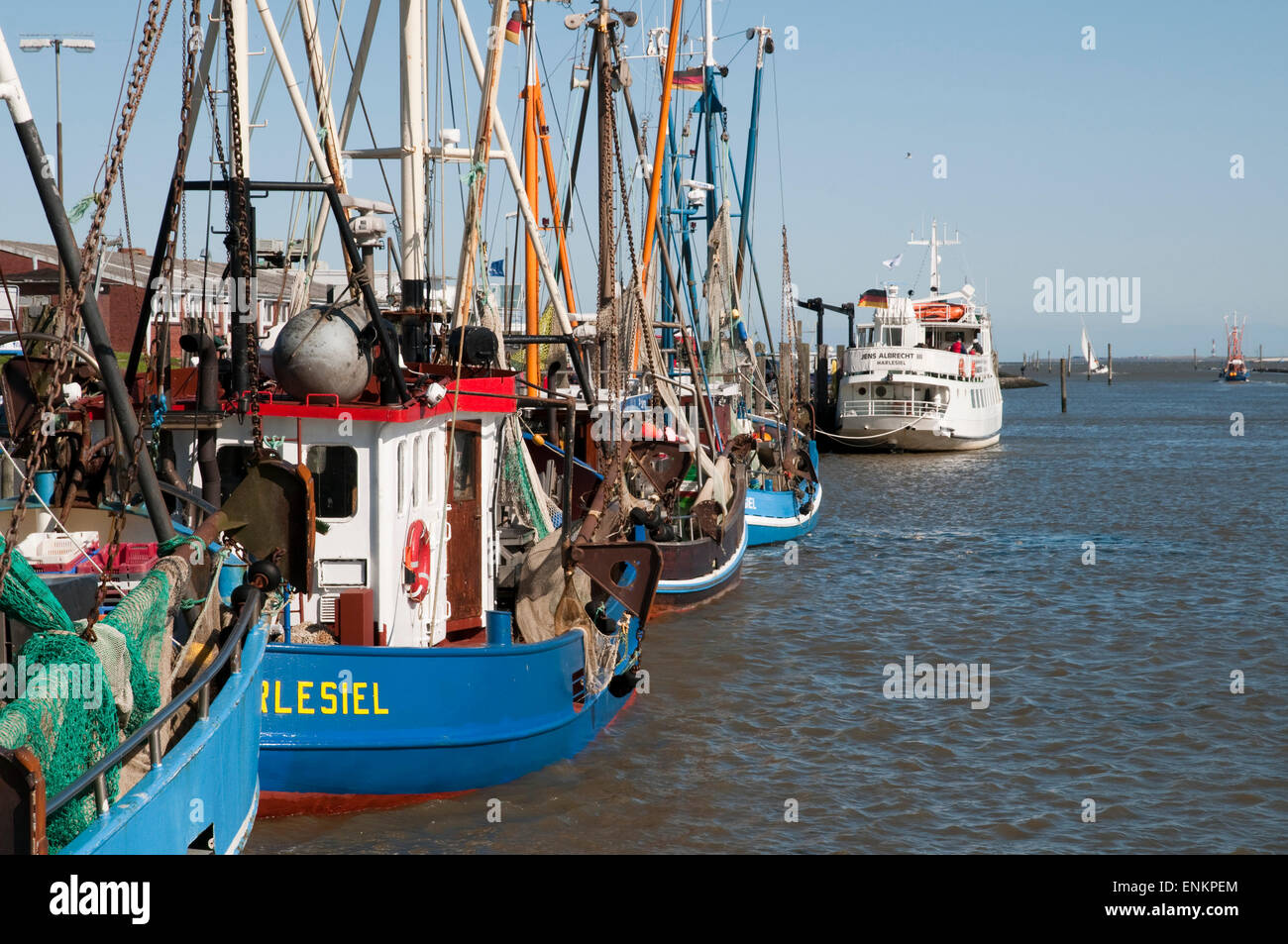 Fischerboote, Fischkutter, Hafen von Harlesiel, Carolinensiel, Ostfriesland, Niedersachsen, Deutschland |  Angelboote/Fischerboote, Harles Stockfoto