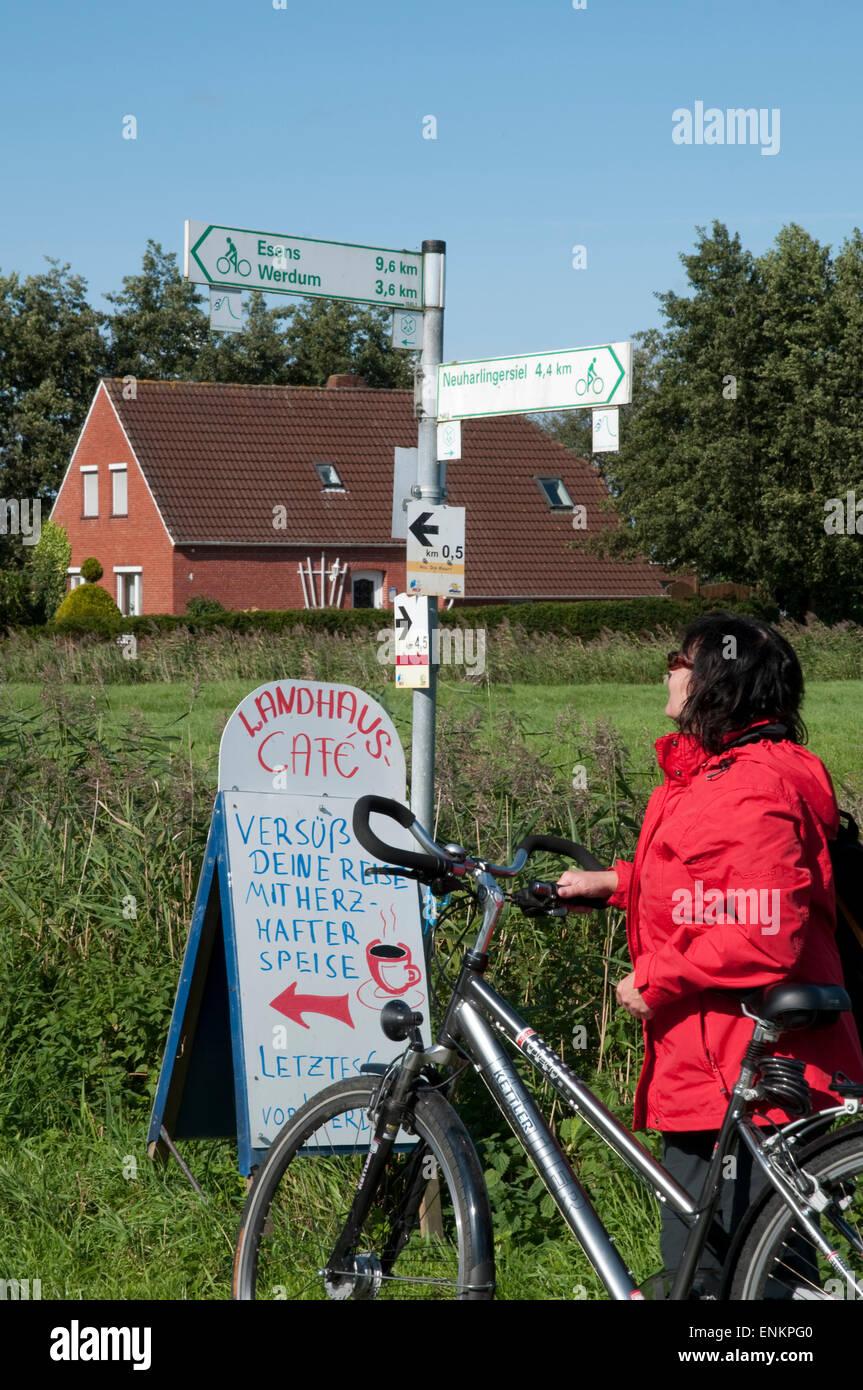 Fahrradfahrerin (Bei Neuharlingersiel), Wegweiser, Nordseeküsten, Ostfriesland, Niedersachsen, Deutschland |  Radfahrer in der Nähe von Neuha Stockfoto