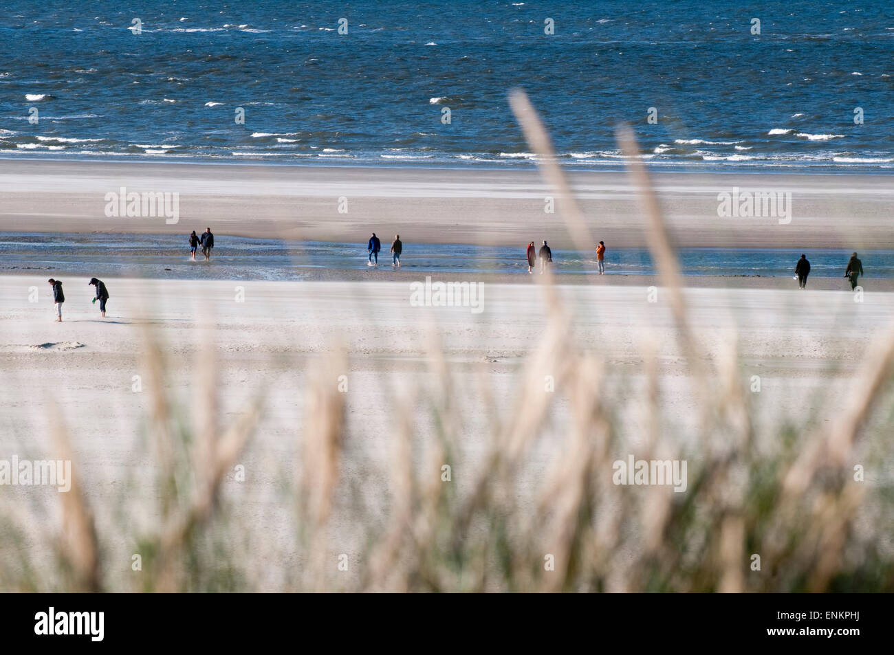 Sandstrand, Blaues Meer, Spiekeroog, Ostfriesische Insel, Nordseeküsten, Ostfriesland, Niedersachsen, Deutschland |  Sandstrand Stockfoto