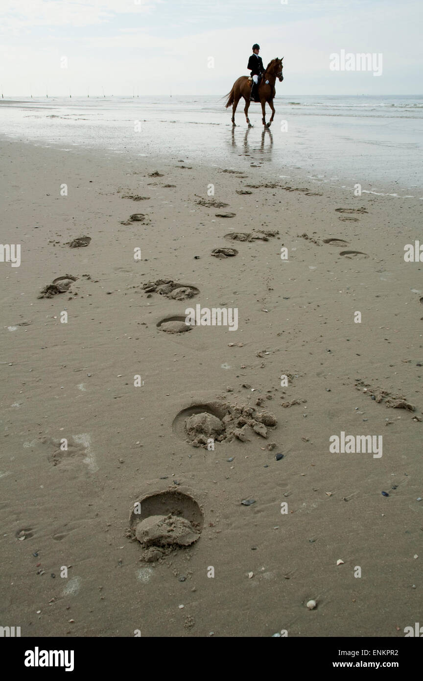 Spuren von Pferd in Sand, Pferd auf der Nordsee Strand, Norderney, Insel, Ostfriesland, Niedersachsen, Deutschland Stockfoto
