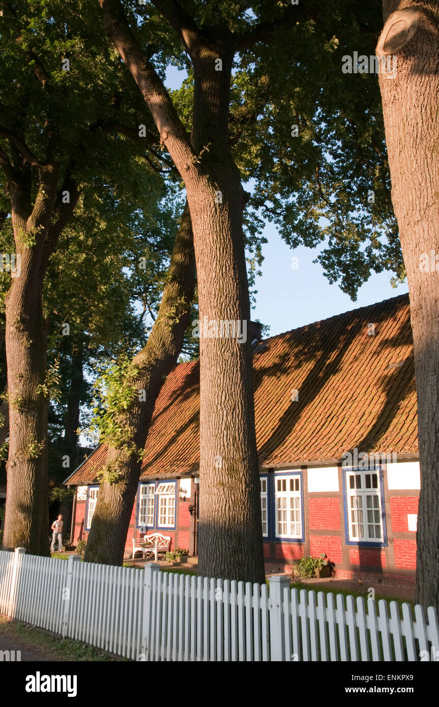 Bauernhaus mit altem Baumbestand, Berge, Artland, Oldenburger Muensterland, Niedersachsen, Deutschland Stockfoto