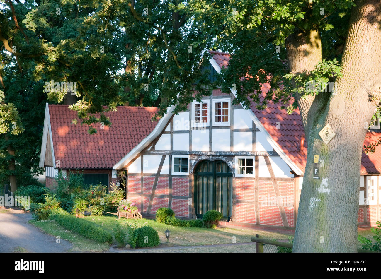 Arm-Haus mit altem Baumbestand, Artland, Oldenburger Muensterland, Niedersachsen, Deutschland Stockfoto