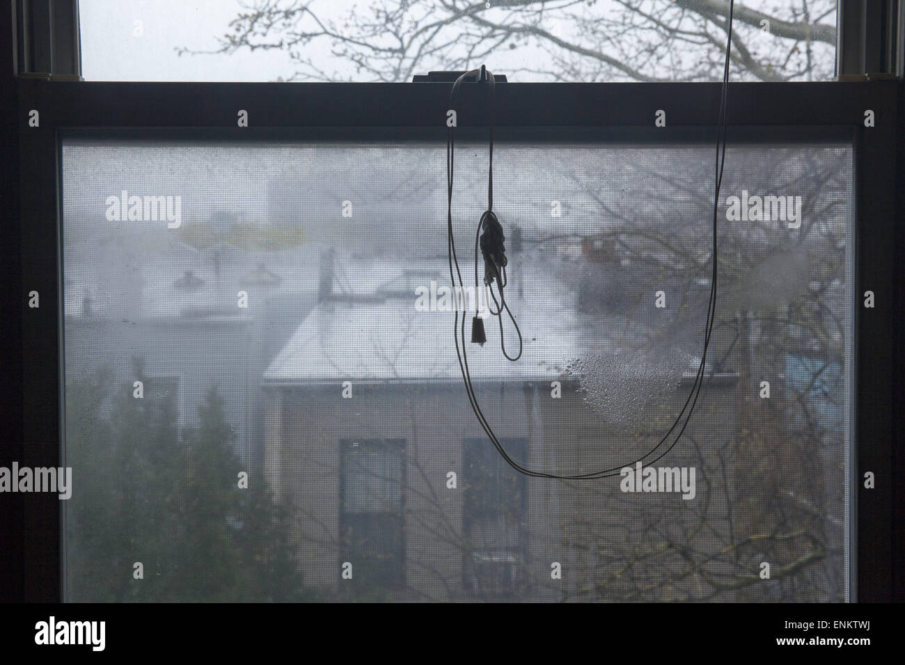 Blick aus einem Dachboden Stock Fenster an einem regnerischen grauen Tag, Brooklyn, NY. Stockfoto
