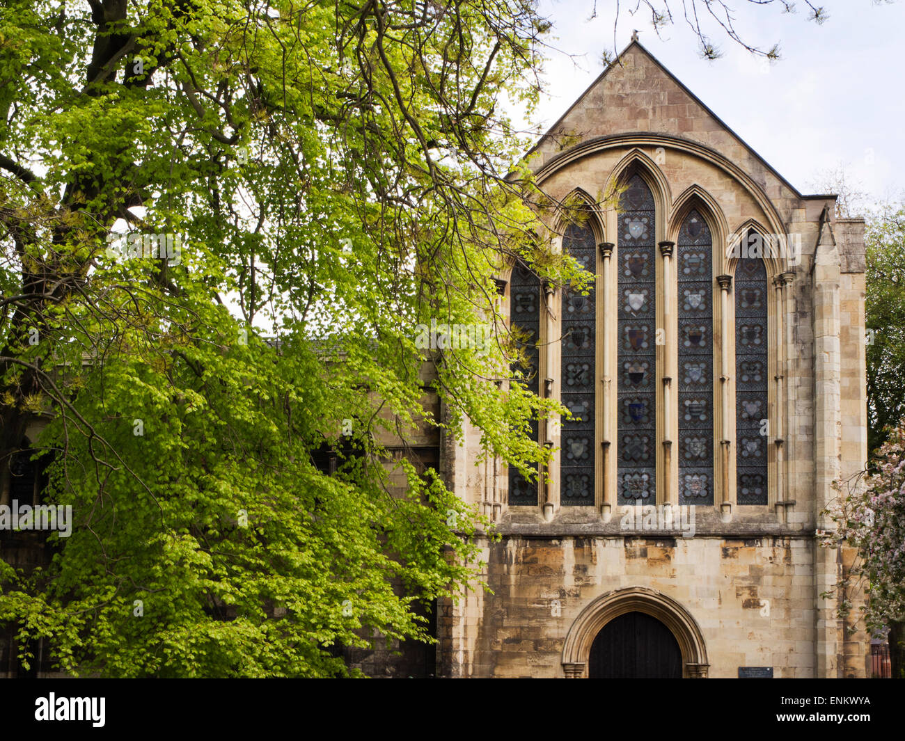 York Minster Bibliothek im alten Palast Dekane Park York Yorkshire England Stockfoto