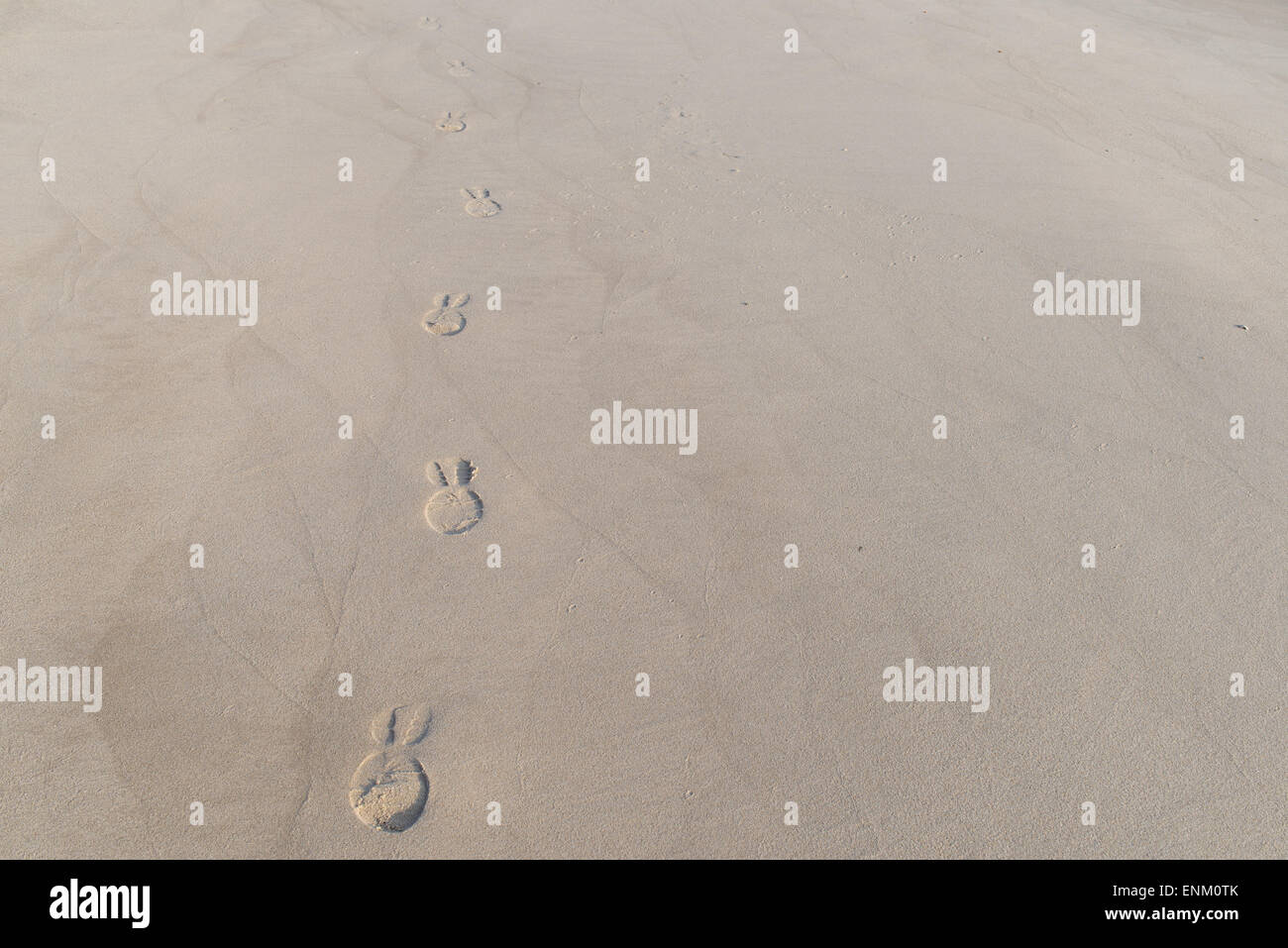 Spuren im Sand von einer Person mit Schuhen Stockfoto