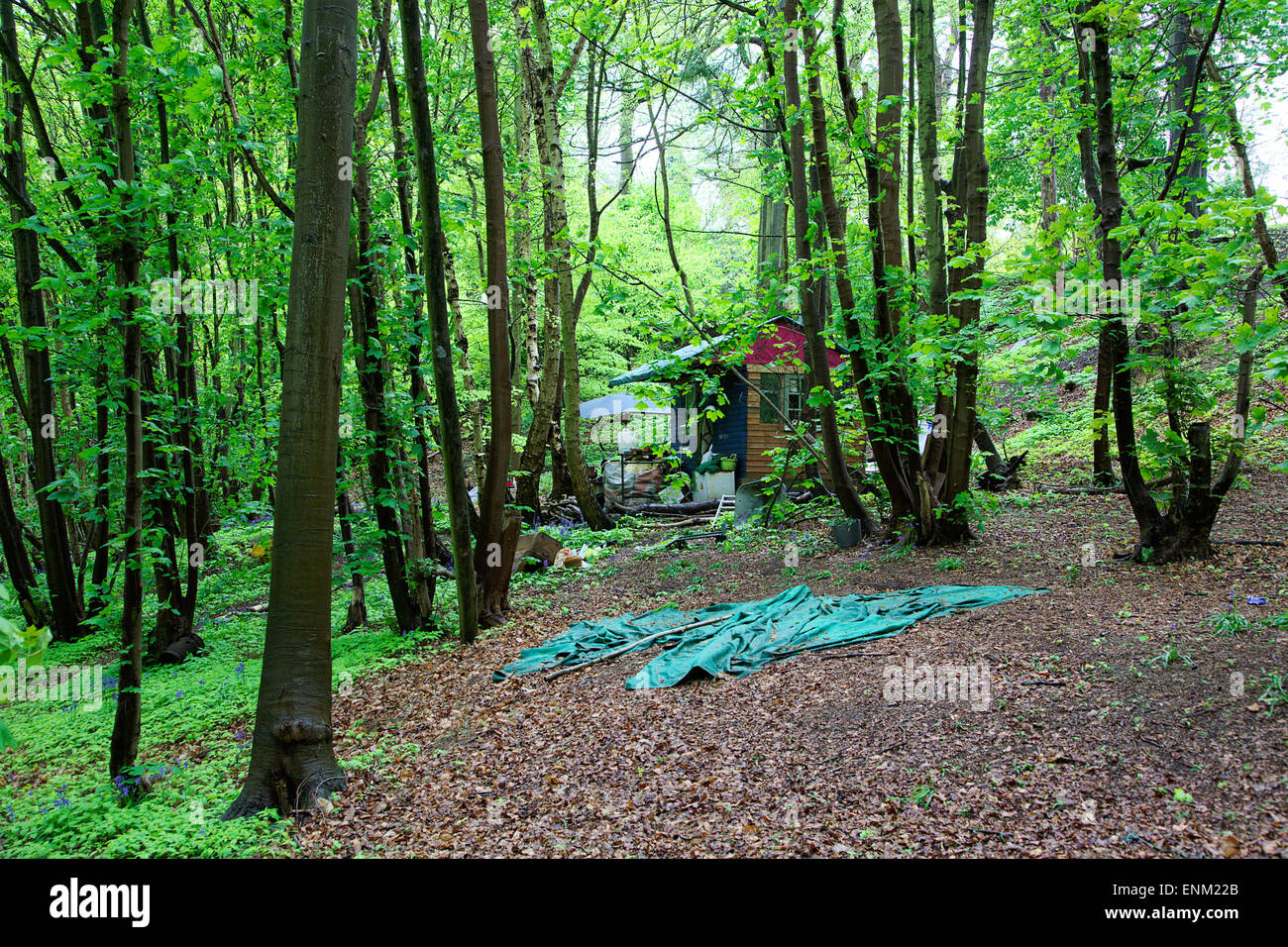 Eine Hütte in der "Öko-Dorf" in Runnymede Wald. Teil einer Gemeinschaft von Menschen, die einen alternativen Lebensstil eingerichtet. Stockfoto