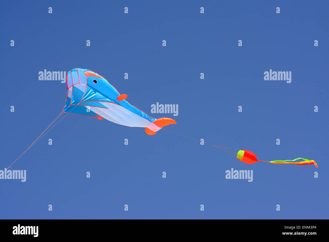 Bunte Wal geformt Kite in blauen Himmel schweben Stockfoto