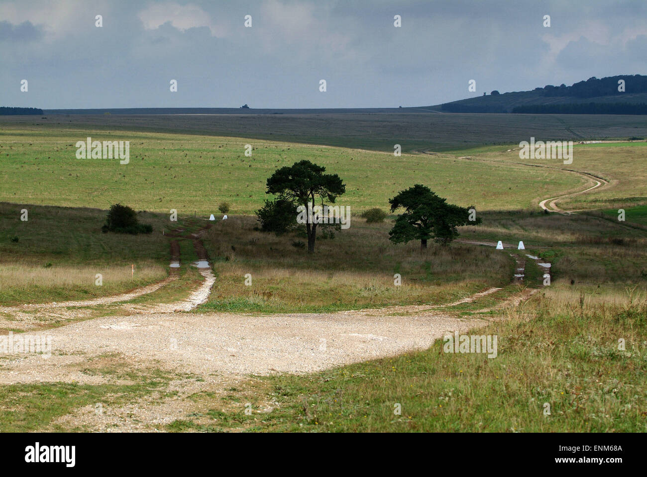 Salisbury Plain, Wiltshire, UK, von der britischen Armee als Truppenübungsplatz genutzt. Bilder zeigen redundante Chieftan Tanks verwendet als Ziele und Zeichen Stockfoto