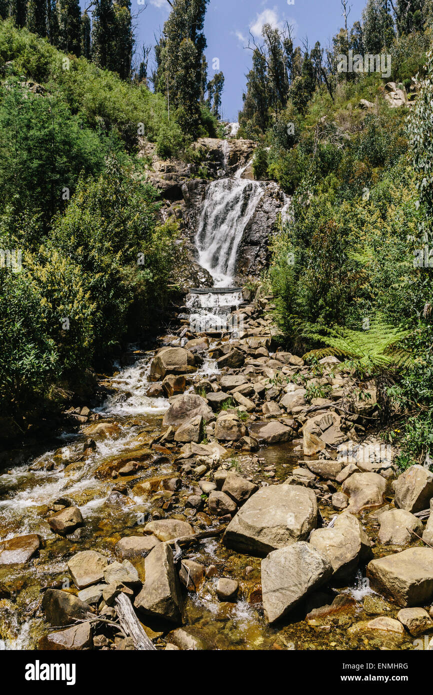 Steavenson Wasserfälle in der Nähe von Marysville zeigt nachwachsen im umliegenden Wald nach verheerenden Buschfeuer im Jahr 2009 Stockfoto