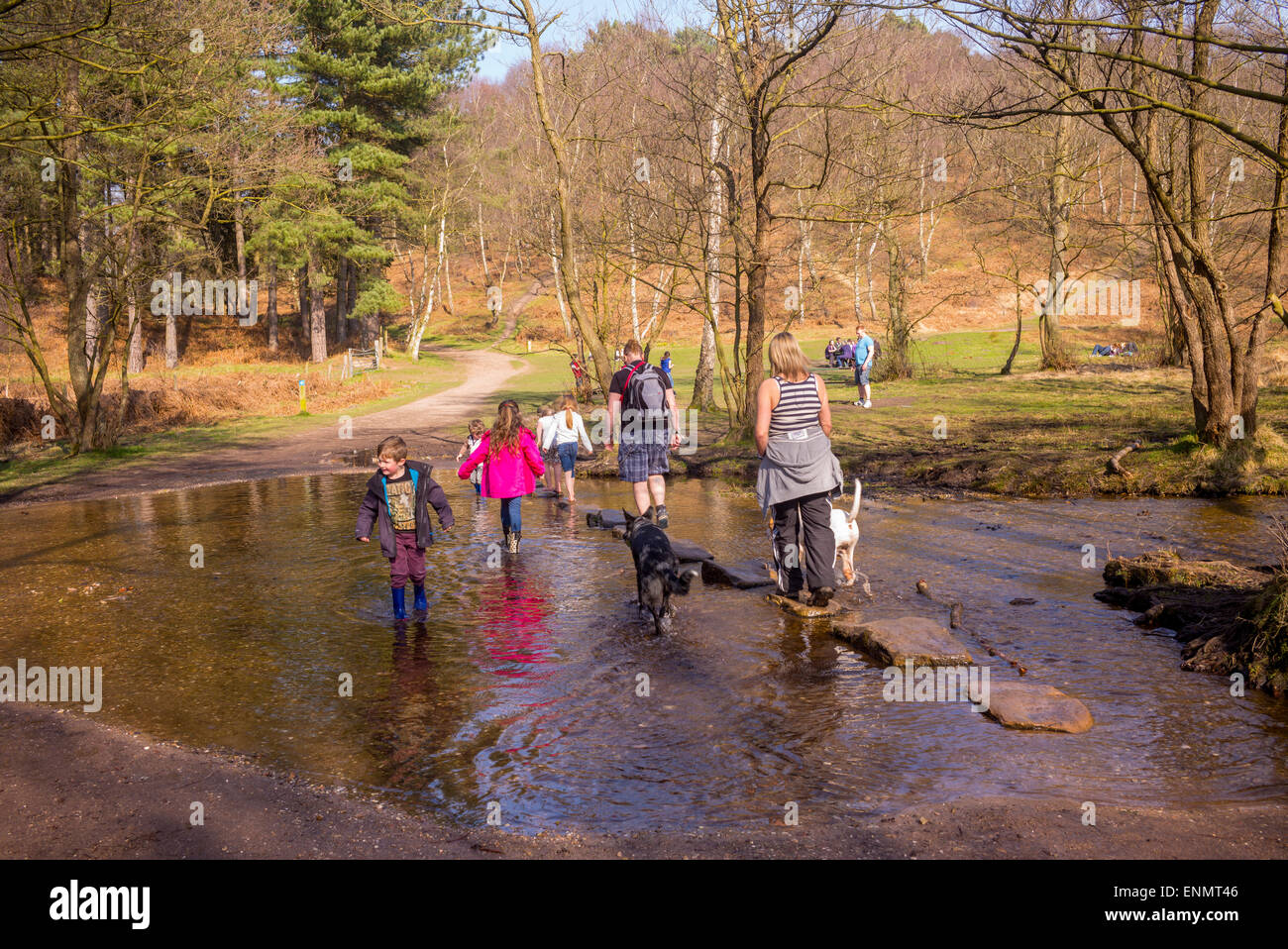 Sringtime Wochenende Wanderer werden auf Cannock Chase, die unter Verwendung des Sprungbretts überqueren ins Tal Sherbrooke gezeichnet. Stockfoto