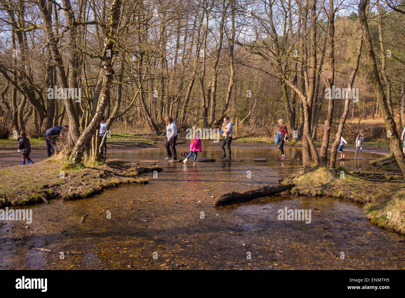 Sringtime Wochenende Wanderer werden auf Cannock Chase, die unter Verwendung des Sprungbretts überqueren ins Tal Sherbrooke gezeichnet. Stockfoto
