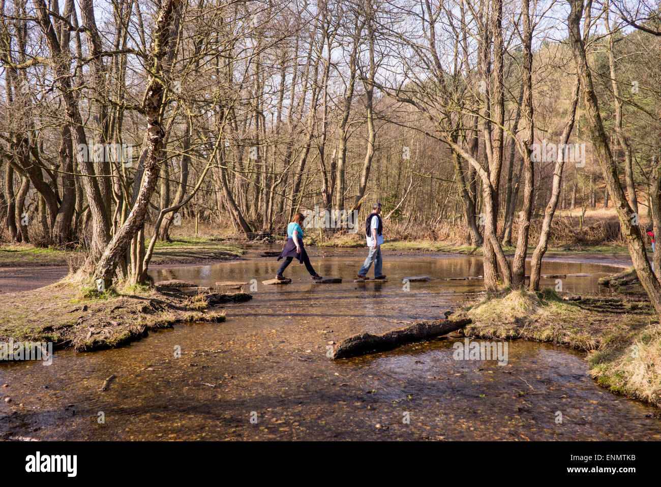 Sringtime Wochenende Wanderer werden auf Cannock Chase, die unter Verwendung des Sprungbretts überqueren ins Tal Sherbrooke gezeichnet. Stockfoto