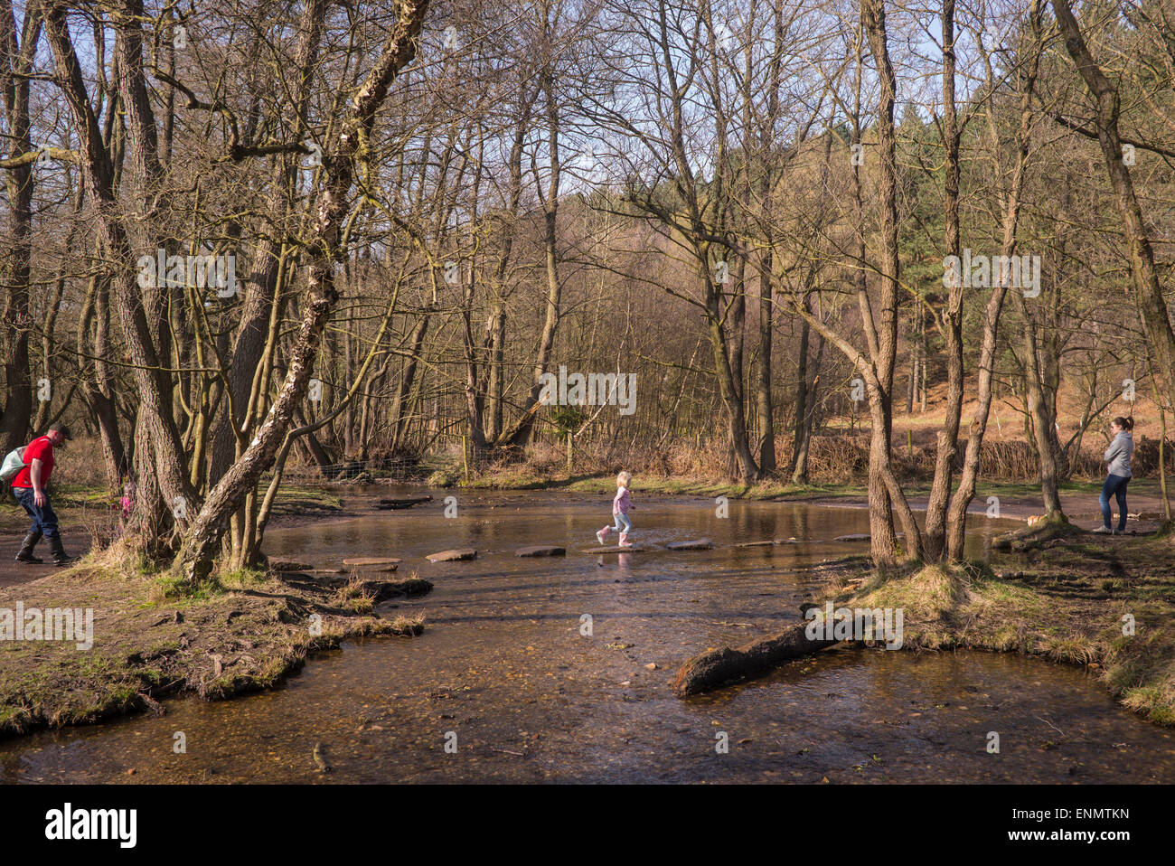 Sringtime Wochenende Wanderer werden auf Cannock Chase, die unter Verwendung des Sprungbretts überqueren ins Tal Sherbrooke gezeichnet. Stockfoto