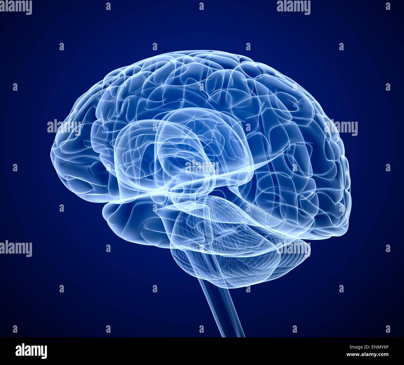 Gehirn-Scan, x-ray Stockfoto