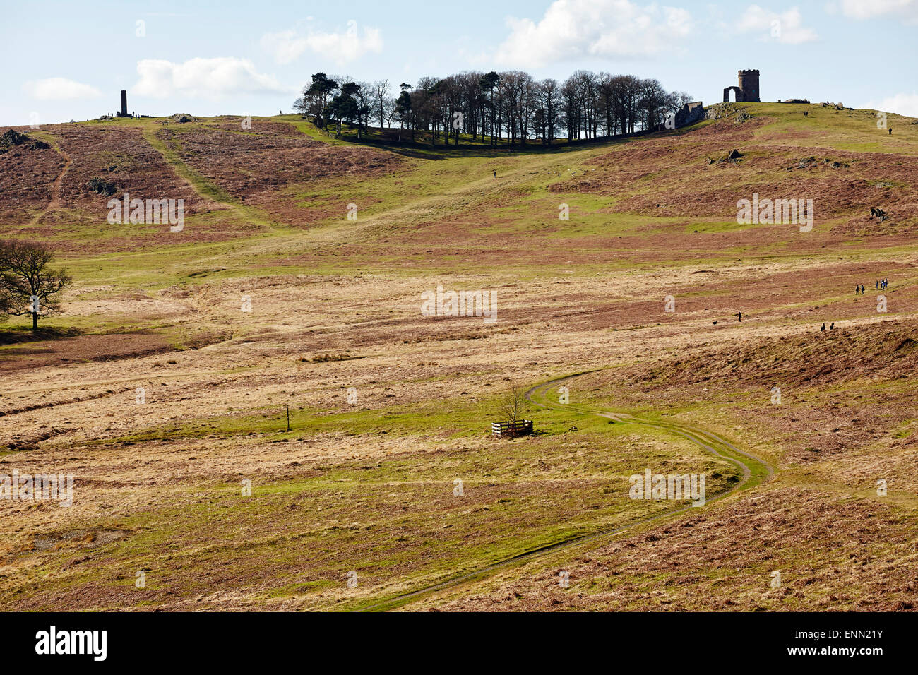 Bradgate Park, Leicestershire Stockfoto