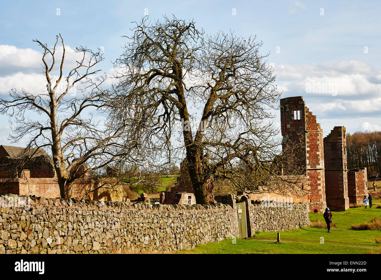 Große Bäume unter den Ruinen der Bradgate House in Bradgate Park, Leicestershire, England, UK. Stockfoto