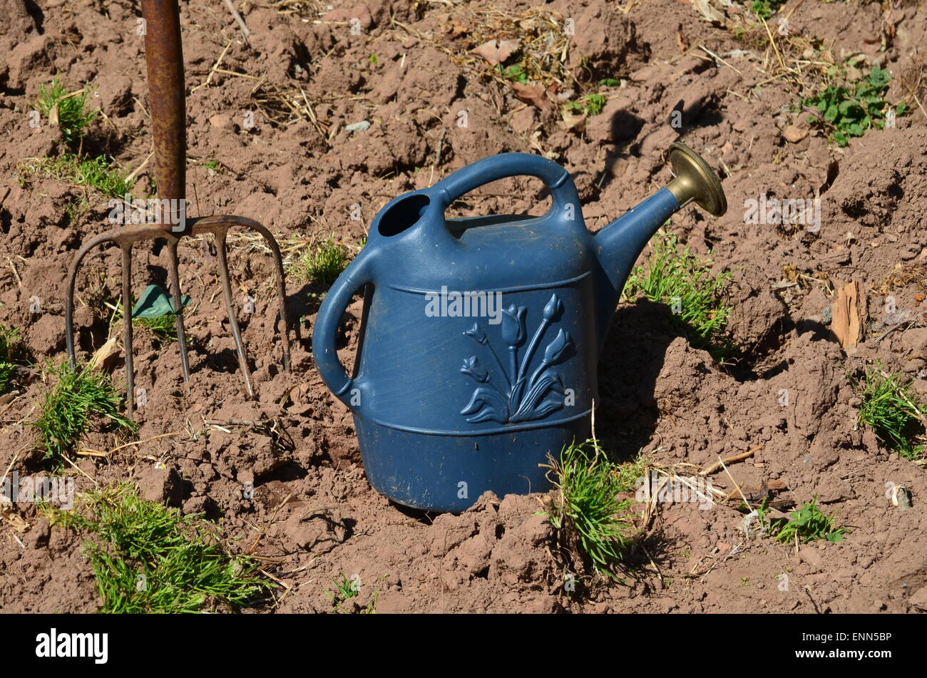 Pitchgabel und Tränken Eimer Stockfoto