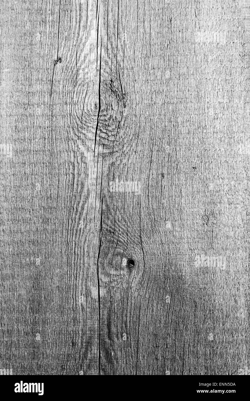 Holzbrett in schwarz und weiß mit Ästen und Körner Stockfoto