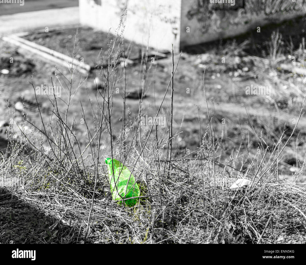 Grüne Kunststoff Abfall in Form von einer PET-Flasche Stockfoto