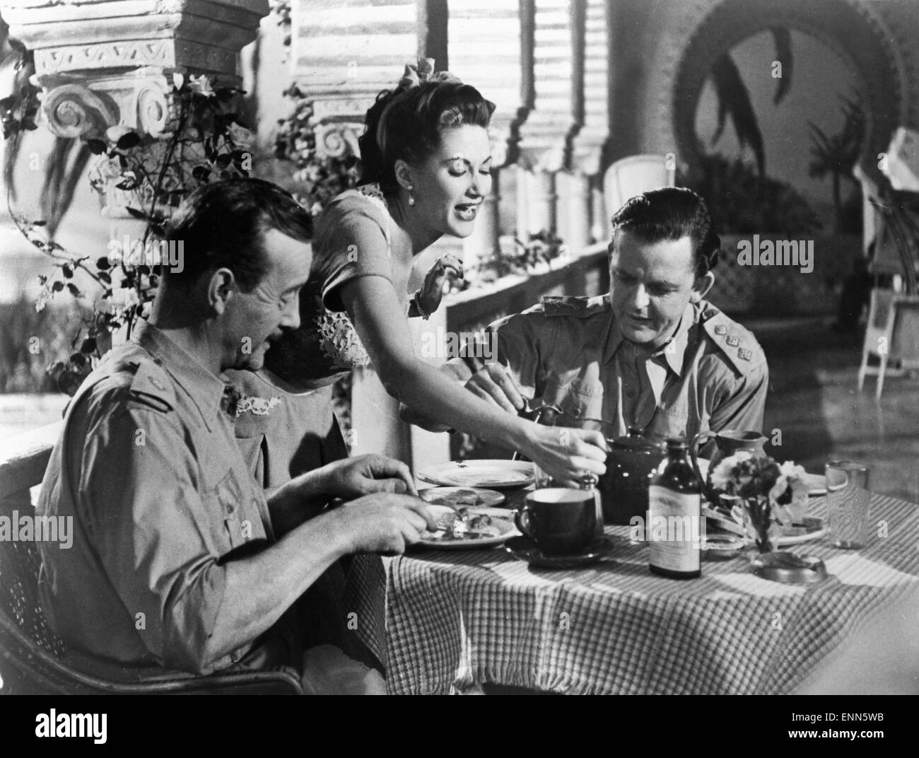 Hotel Sahara, Großbritannien 1951, Regie: Ken Annakin, Monia: Yvonne De Carlo, David Tomlinson, Roland Culver Stockfoto