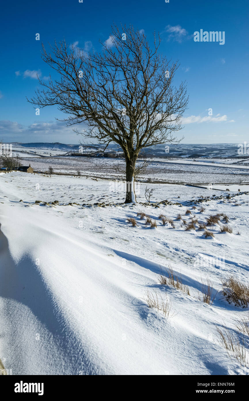 Winter-Szene in der Nähe von zweimal gebraut Stockfoto