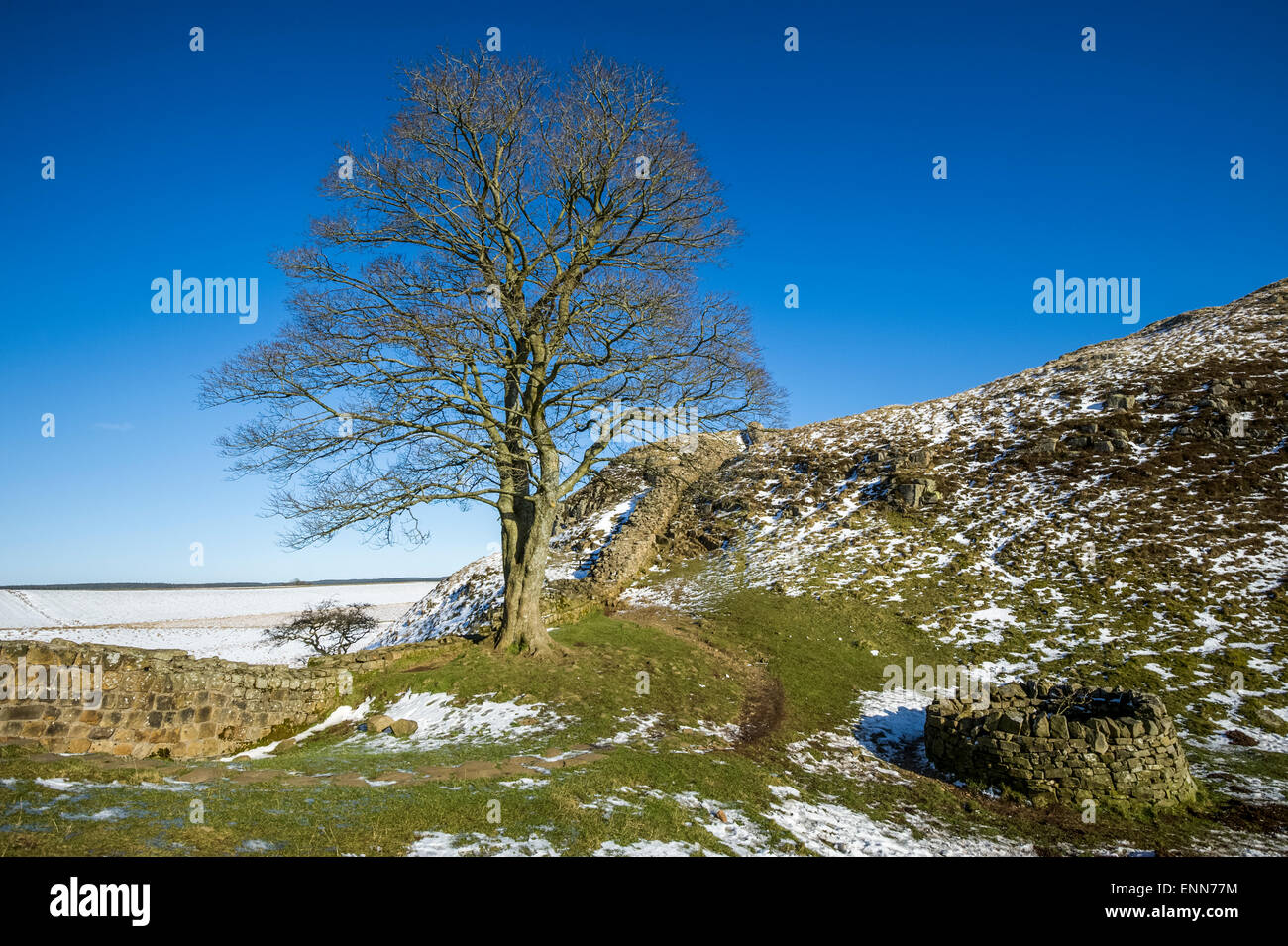 Hadrian Wand Winter Szenen am Sycamore Gap Stockfoto