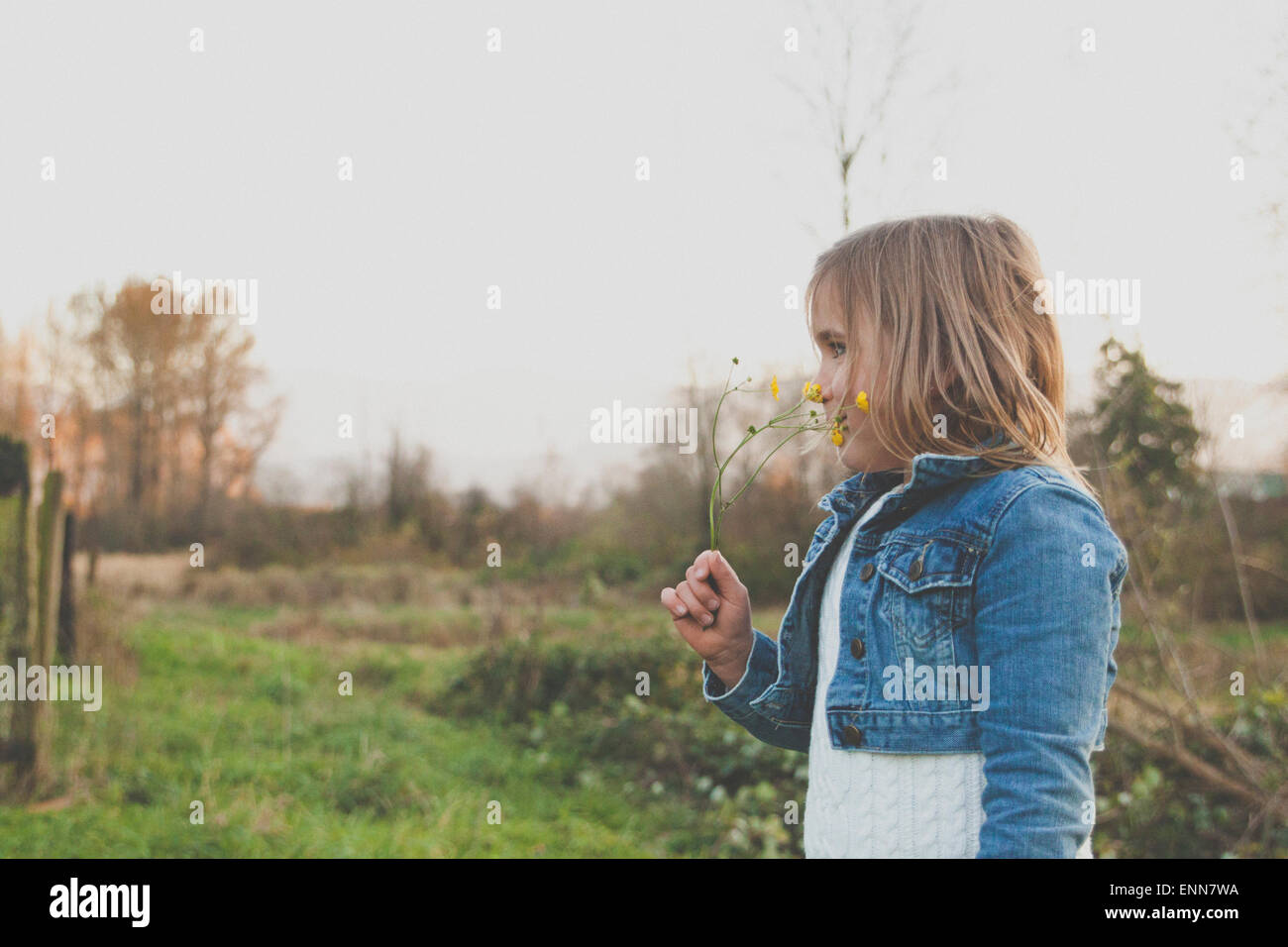 Ein junges Mädchen riecht einige Wildblumen, die sie ein lokales Feld entnommen. Stockfoto