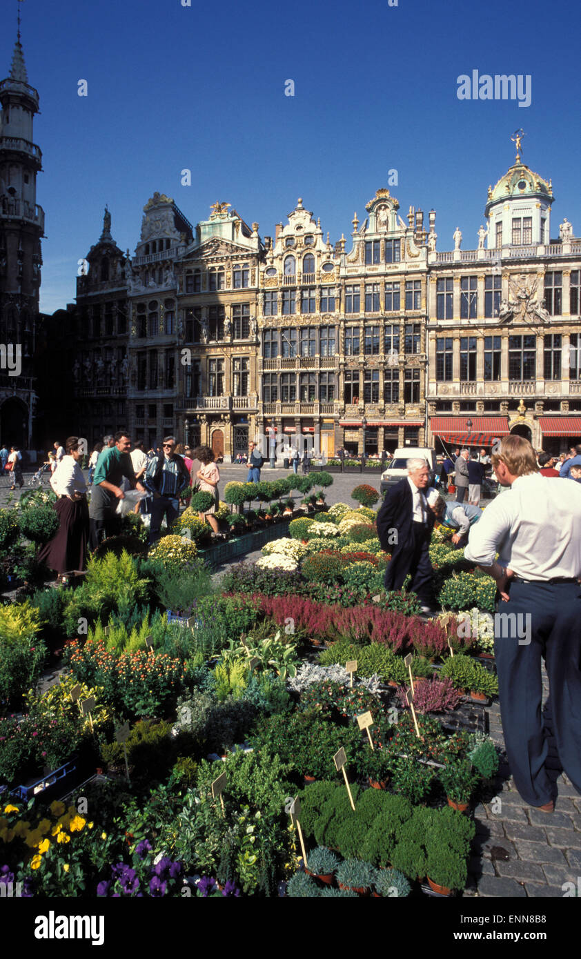 BEL, Belgien, Brüssel, Blumenmarkt am Grand Place.  BEL, Belgien, Bruessel, Blumenmarkt Auf Dem Grand Place. Stockfoto