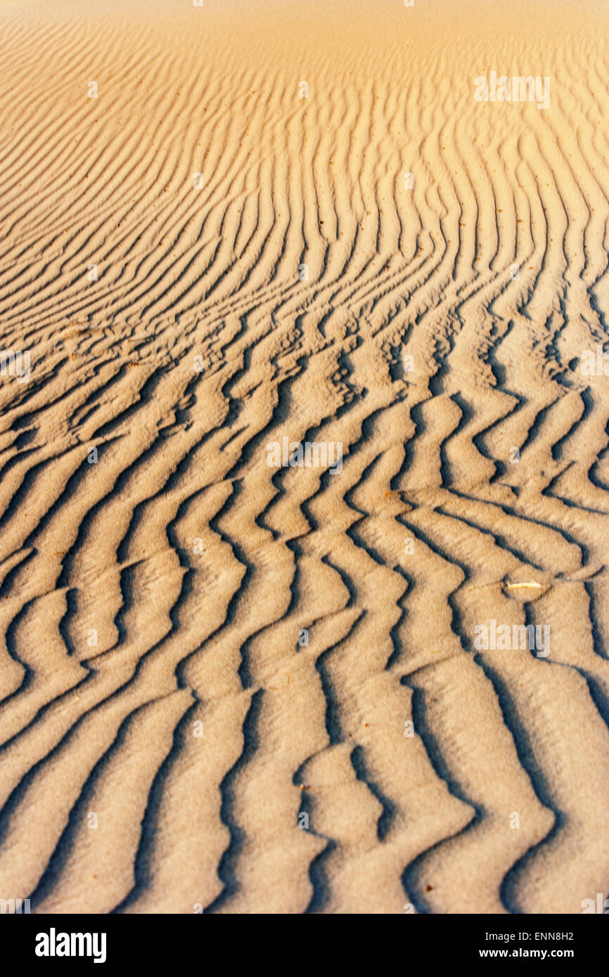 Wind geblasen Linien auf einer Sanddüne. Stockfoto