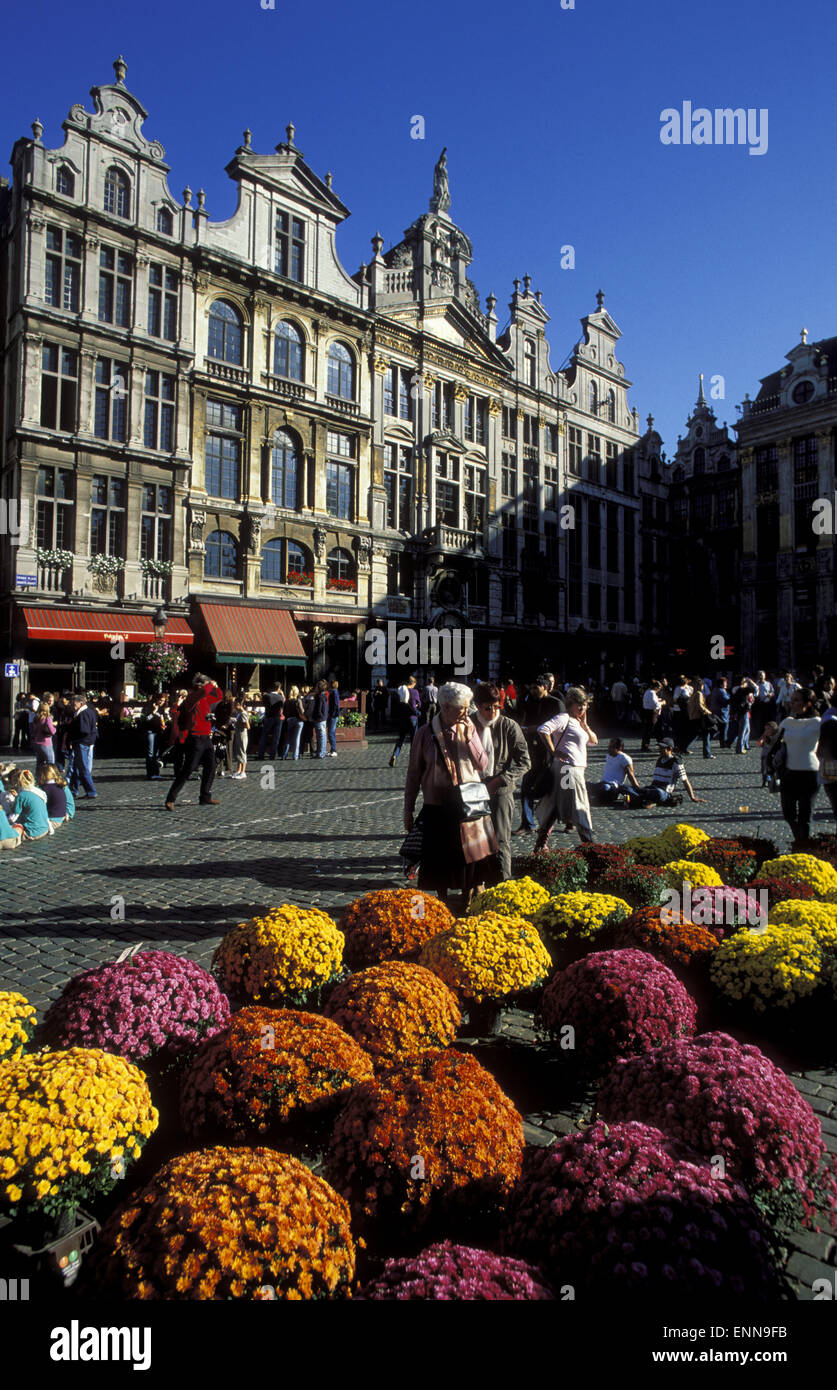BEL, Belgien, Brüssel, Blumenmarkt am Grand Place.  BEL, Belgien, Bruessel, Blumenmarkt Auf Dem Grand Place. Stockfoto
