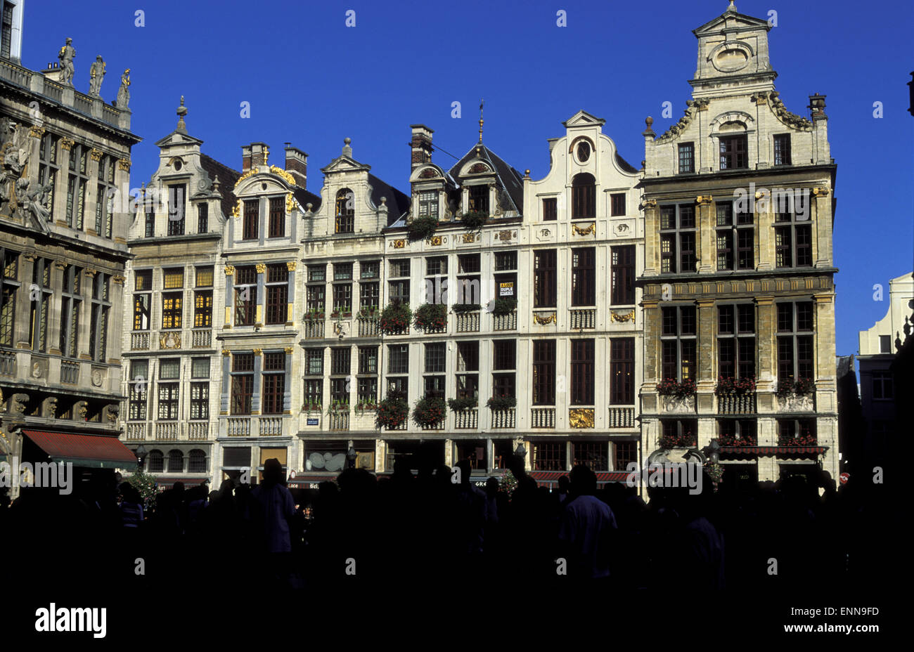 BEL, Belgien, Brüssel, Häuser am Grand Place.  BEL, Belgien, Bruessel, Haeuser bin Grand Place. Stockfoto