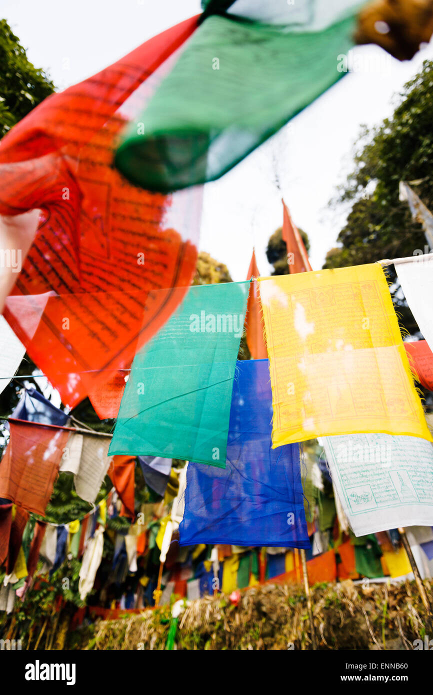 Gebet, Flaggen Ouside Yiga Choling Gompa, Ghum, Darjeeling. Stockfoto