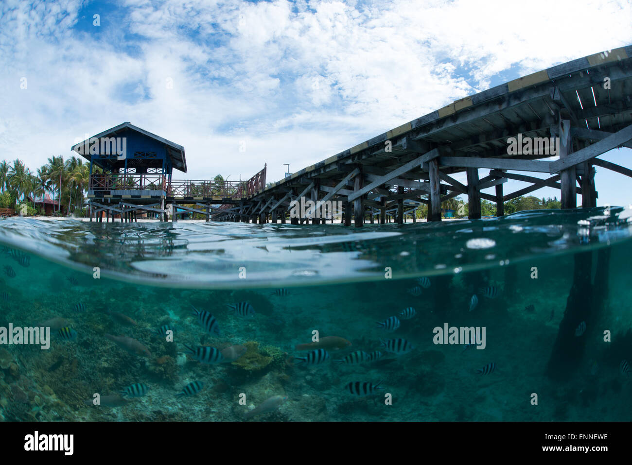 Ein Split-Schuss von der Oberfläche und der Unterwasserlandschaft an Aerbork Vilage Steg in Raja Ampat Stockfoto