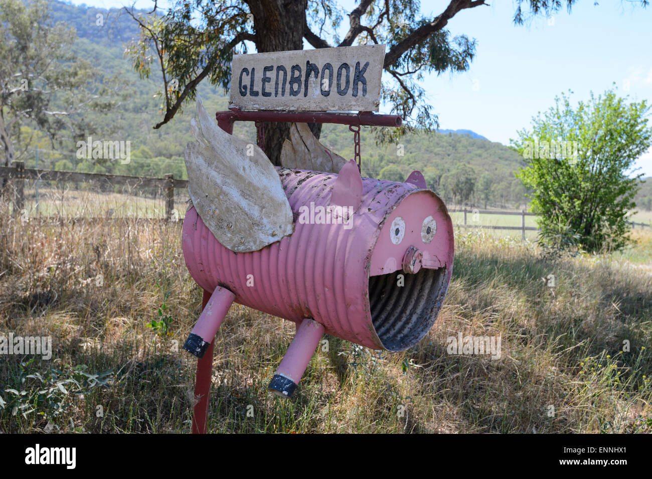 Flying Pig Letterbox, New-South.Wales, Australien Stockfoto