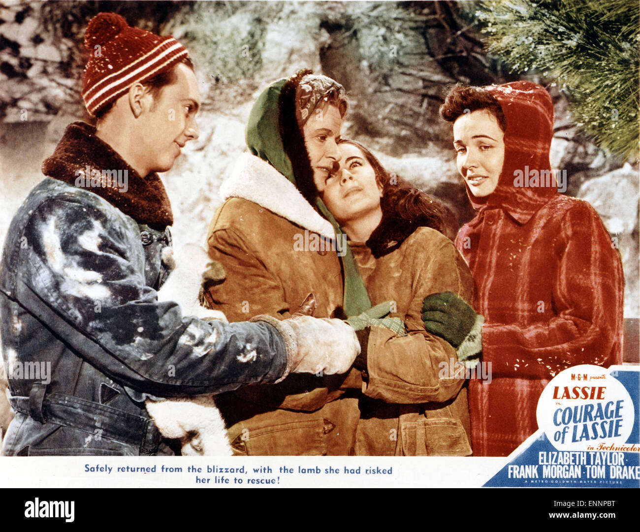 Mut der Lassie, aka Held Auf Vier Pfoten, USA, 1946, Regie: Fred M ...