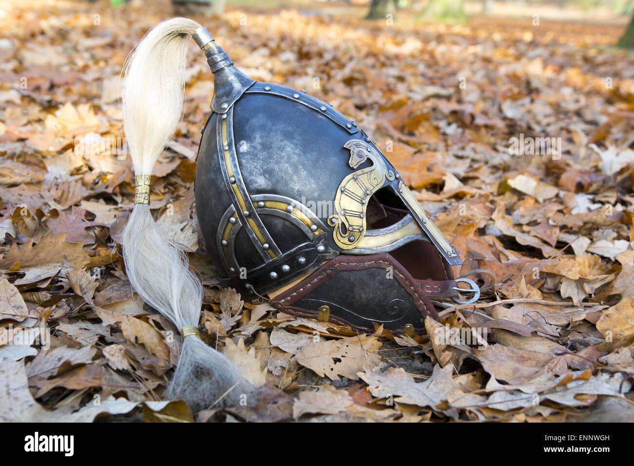 Alten geschmiedeten Wikinger-Helm auf einem Blatt. Stockfoto