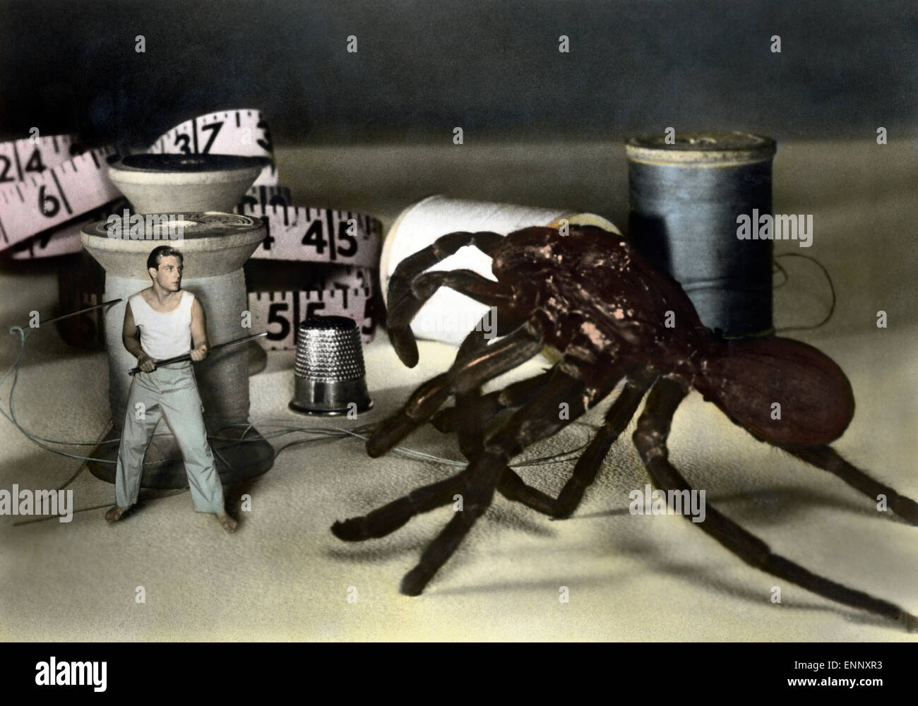 The Incredible Shrinking Man, USA 1957, aka: Die Unglaubliche Geschichte des Mr. C, Regie: Jack Arnold, Monia: Grant Willia Stockfoto