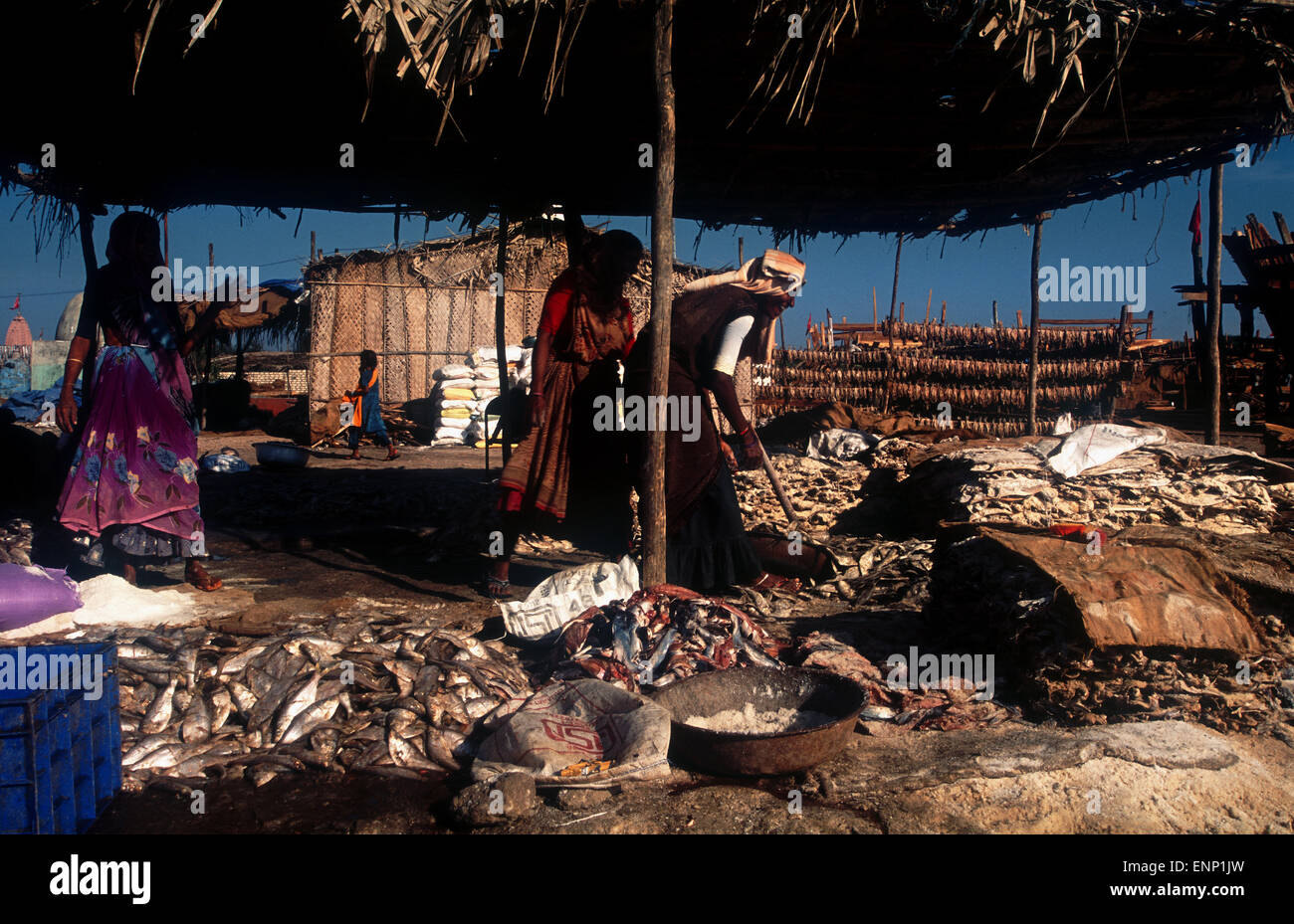 Arbeitnehmerinnen in der Fischereiindustrie in Indien Stockfoto