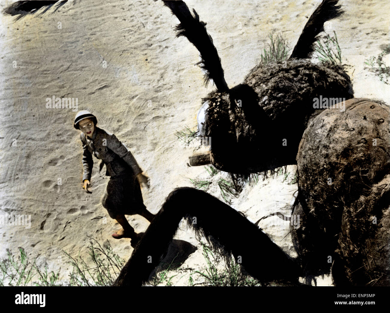 Sie!, USA 1954, aka: Formicula, Regie: Gordon Douglas, Monia: Joan Weldon (?) Stockfoto