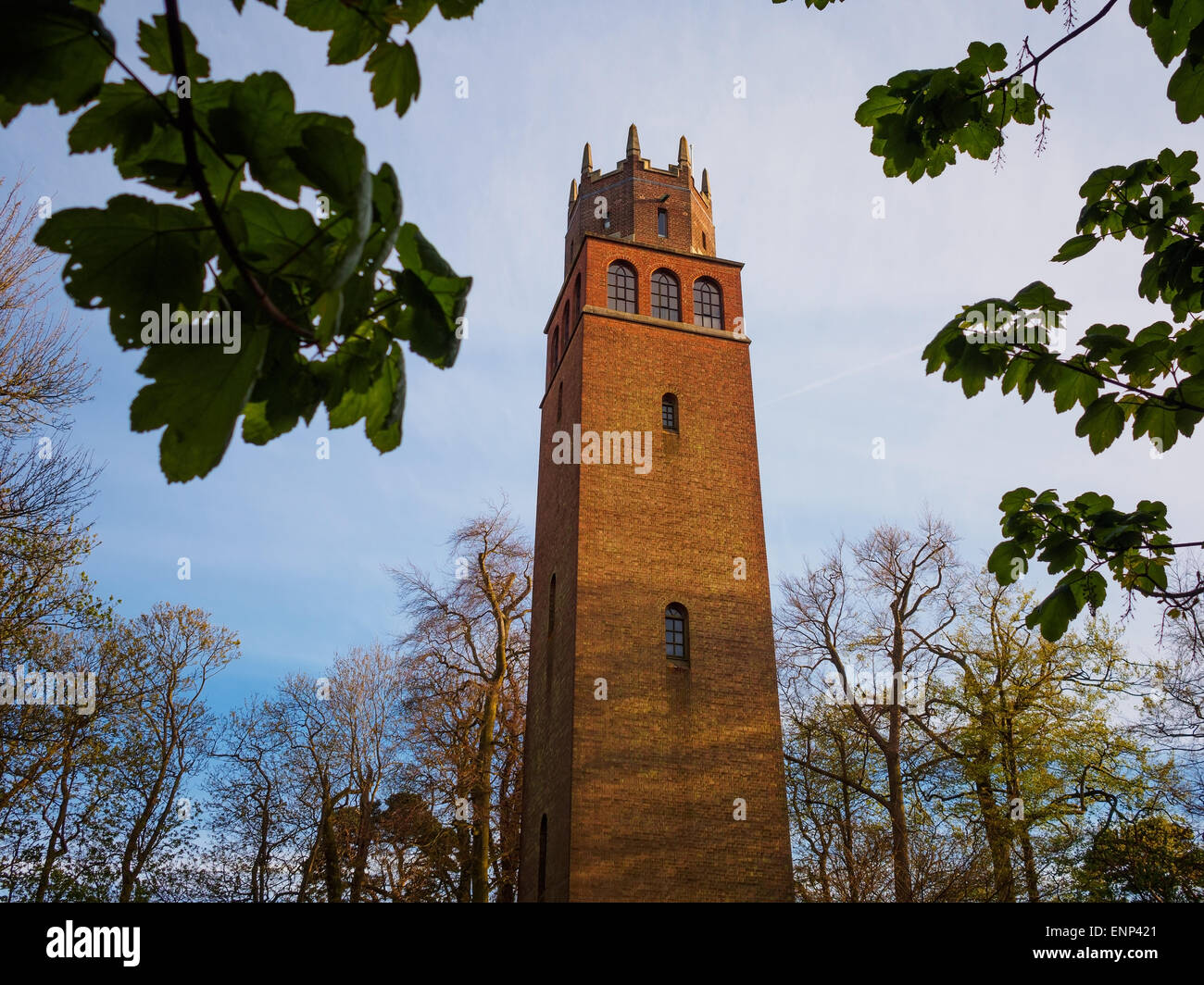 Die Torheit Turm Faringdon, Oxfordshire, Vereinigtes Königreich. Stockfoto
